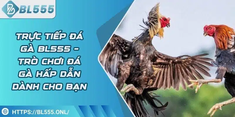 Trực tiếp đá gà BL555 – Trò chơi đá gà trực tuyến hấp dẫn 10 Trực tiếp đá gà BL555 – Trò chơi đá gà trực tuyến hấp dẫn