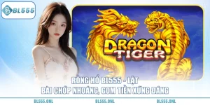 Rồng Hổ BL555 - giới thiệu mới nhất