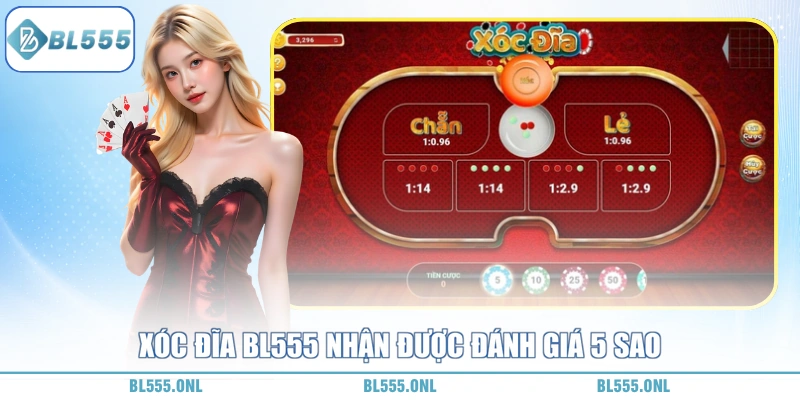 Giới thiệu về xóc đĩa BL555